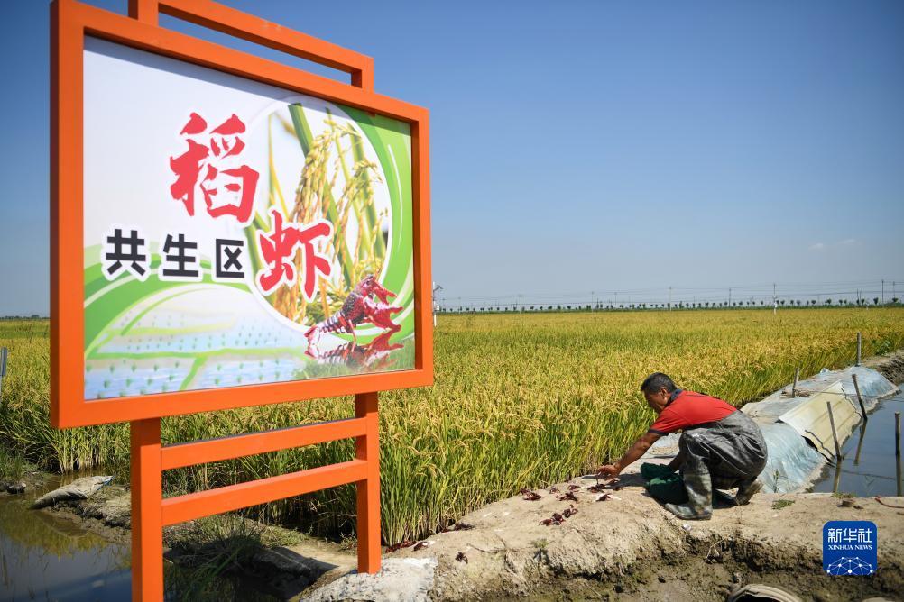 英豪2娱乐